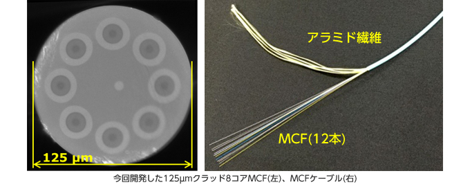 今回開発した125μmクラッド8コアMCF(左)、MCFケーブル(右)