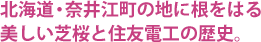 北海道・奈井江町の地に根をはる美しい芝桜と住友電工の歴史。