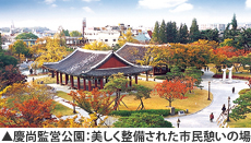慶尚監営公園：美しく整備された市民憩いの場