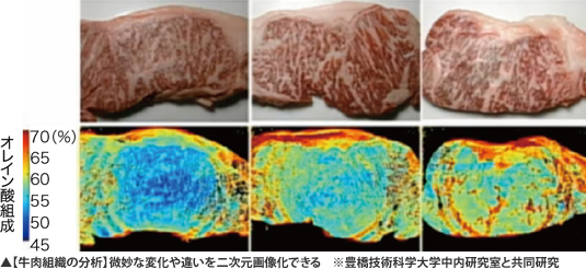 【牛肉組織の分析】微妙な変化や違いを二次元画像化できる　※豊橋技術科学大学中内研究室と共同研究