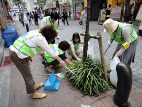 こんな植え込みにもゴミが・・・ 